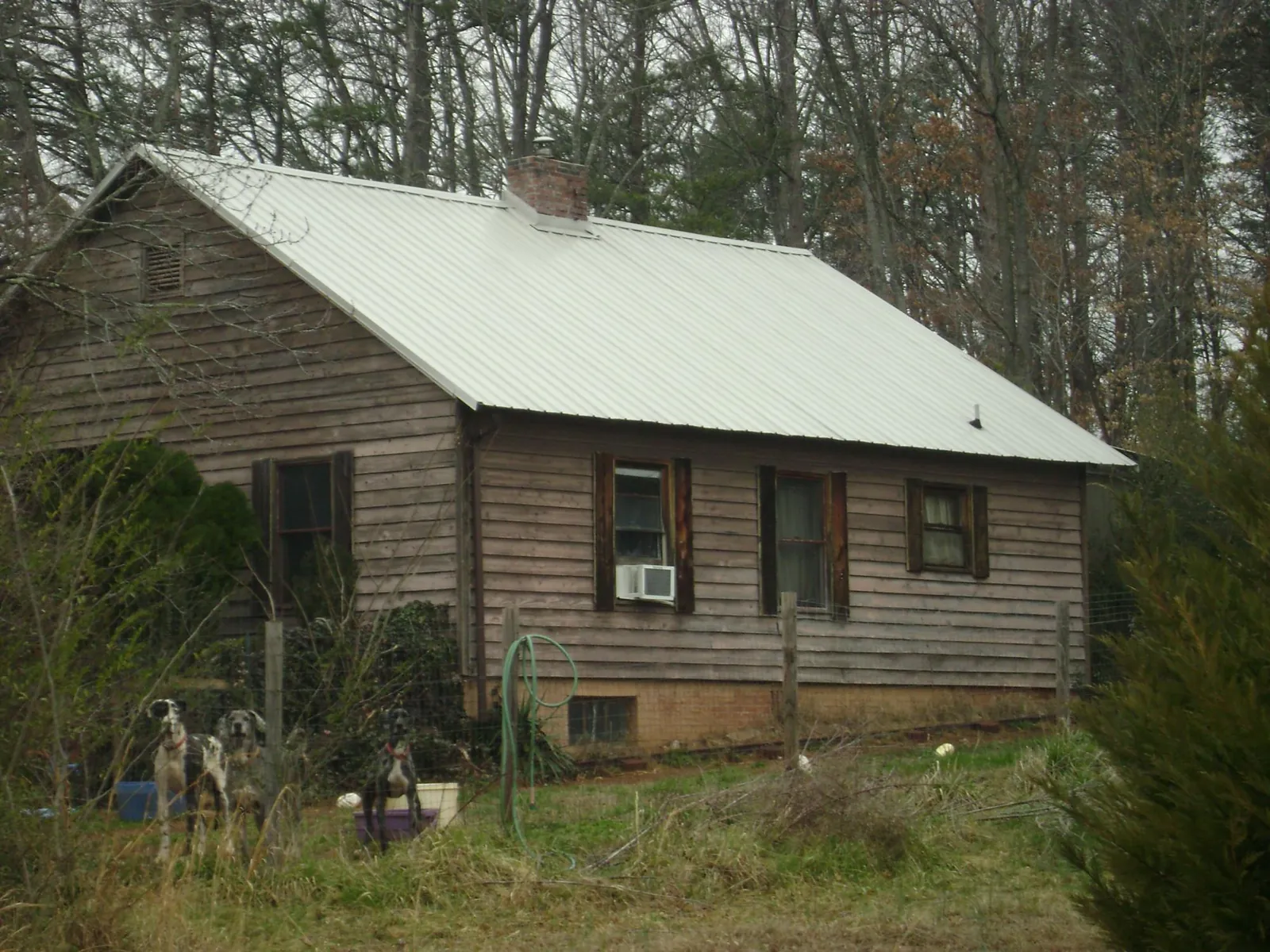 White metal roof on an old wood sided farmhouse, from a Asphalt Shingle Roof Repair job in Azusa